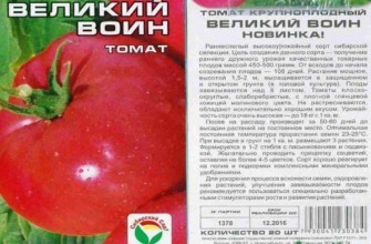 ลักษณะของมะเขือเทศ