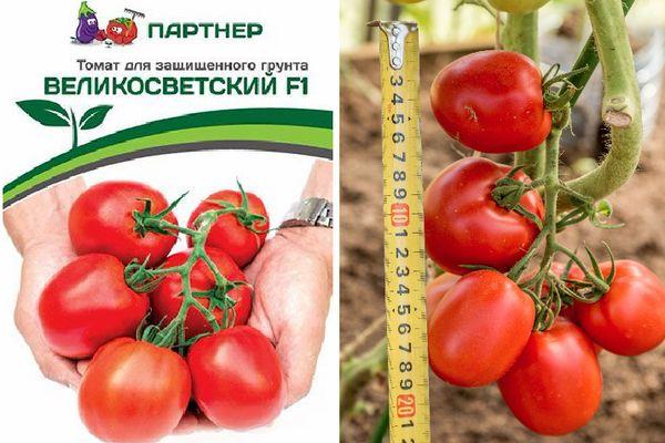 มะเขือเทศเวลิโคสเวตสกี้