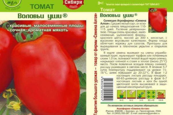 ลักษณะของมะเขือเทศ