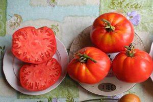 Description de la tomate Vova Poutine, caractéristiques du fruit et caractéristiques de culture