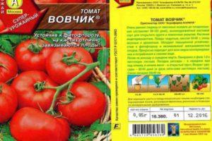 รายละเอียดของมะเขือเทศ Vovchik ลักษณะเด่นและคุณสมบัติการเพาะปลูก