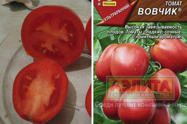 Tomates Vovka