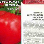 ลักษณะของมะเขือเทศ