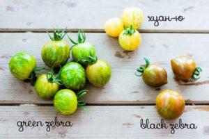 ลักษณะของมะเขือเทศกรีนซีบราและมะเขือเทศชนิดอื่นๆ