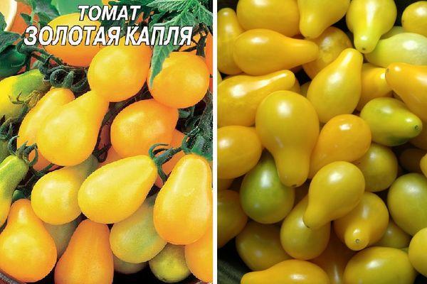 tomates jaunes