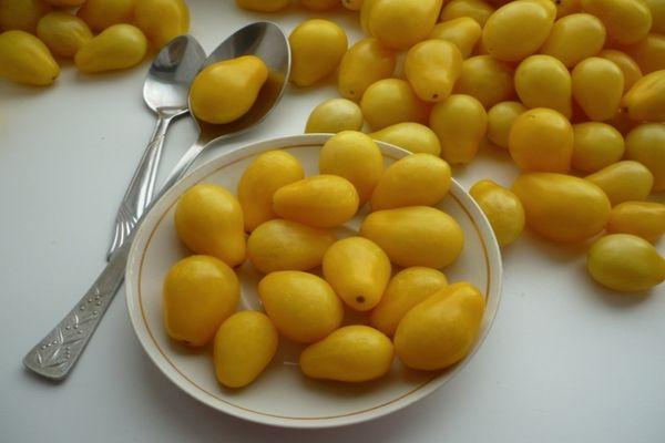 Tomates dans une assiette