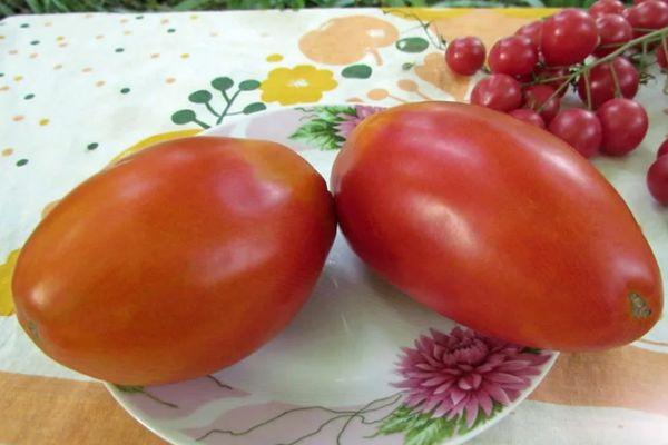 Tomates dans une assiette