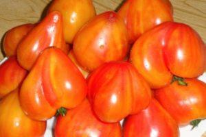 คำอธิบายเกี่ยวกับมะเขือเทศพันธุ์รัสเซียสีส้มที่อร่อยและสวยงาม