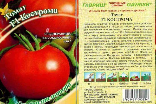 มะเขือเทศโคสโตรมา F1