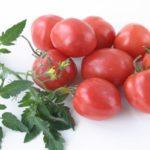 Tomates amulettes