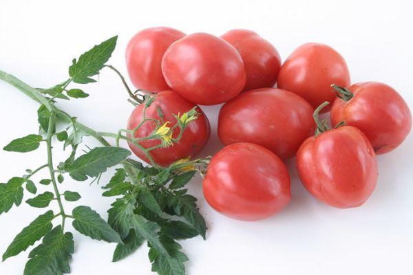 Tomates amulettes