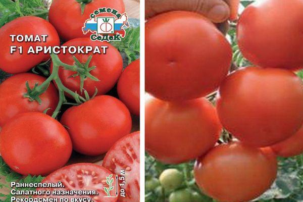 Tomates Aristocrat