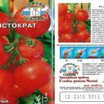 Description de la tomate