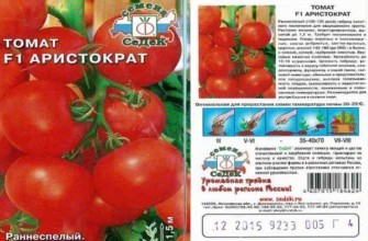 ลักษณะของมะเขือเทศ