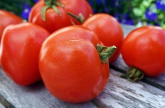 มะเขือเทศอะโทล