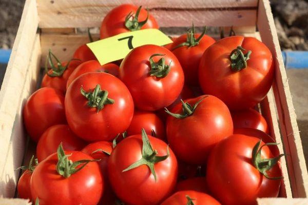 กล่องมะเขือเทศ