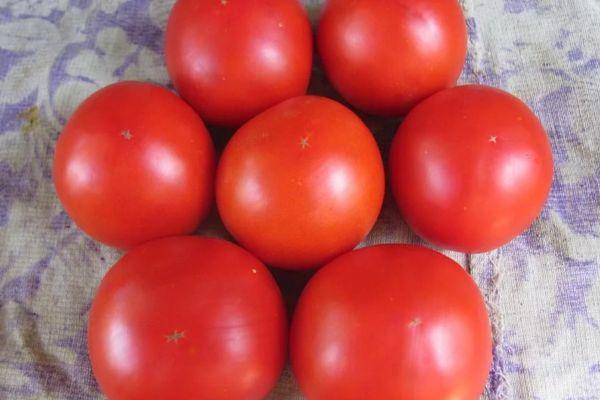 มะเขือเทศขนาดใหญ่