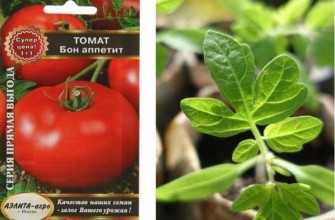 เมล็ดพันธุ์หนึ่งซอง