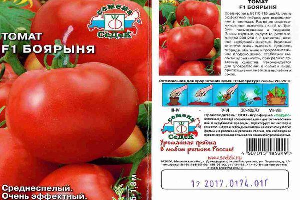 ลักษณะของมะเขือเทศ