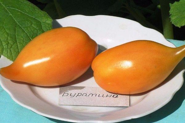 มะเขือเทศสีเหลือง