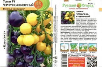 ลักษณะของมะเขือเทศ