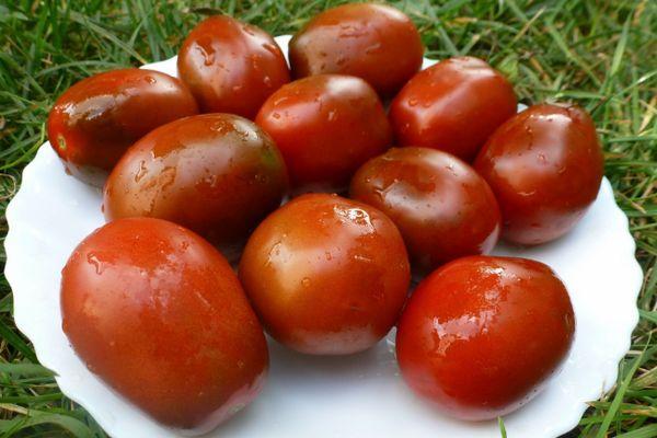 มะเขือเทศบนจาน