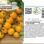 ลักษณะของมะเขือเทศ