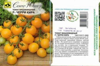 ลักษณะของมะเขือเทศ