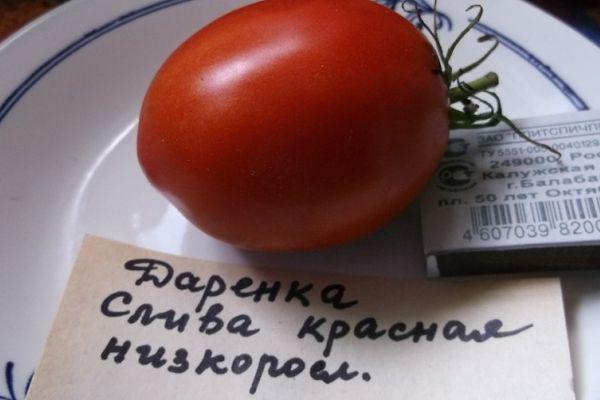 Tomate dans une assiette