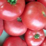 มะเขือเทศสีชมพู