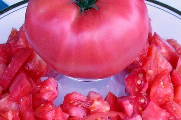 เนื้อมะเขือเทศ