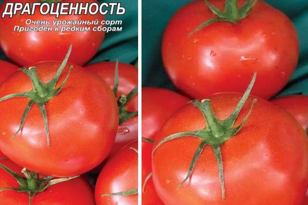 เมล็ดพันธุ์และมะเขือเทศ