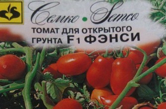 เมล็ดมะเขือเทศ