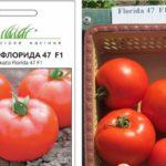 มะเขือเทศฟลอริดา