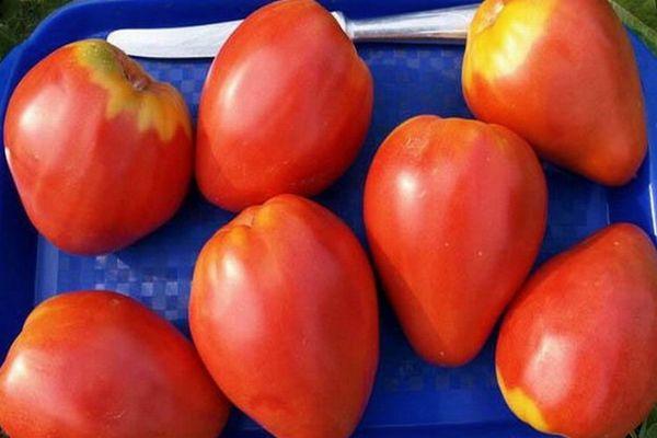 มะเขือเทศสุก