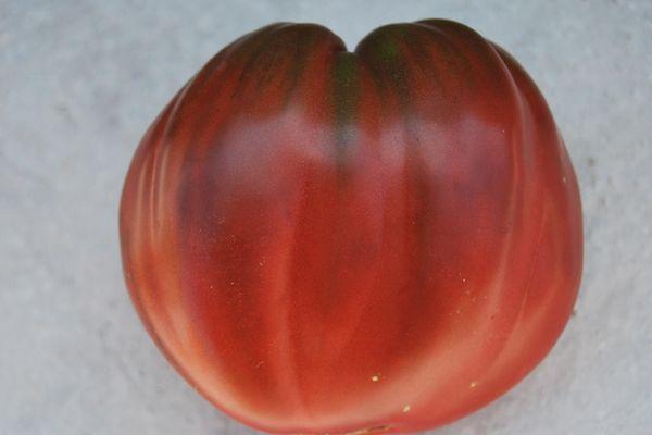 Grosse tomate