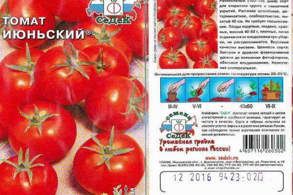 ลักษณะของมะเขือเทศ