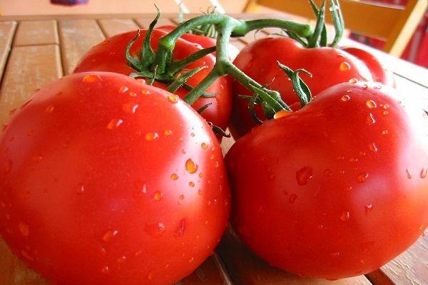 Capitaine Tomates
