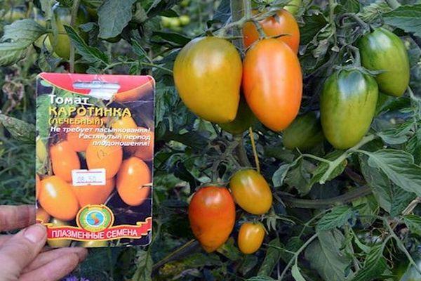 มะเขือเทศคาโรตินก้า