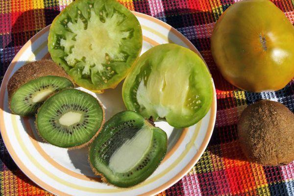 มะเขือเทศและกีวี