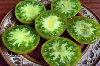 มะเขือเทศกีวี