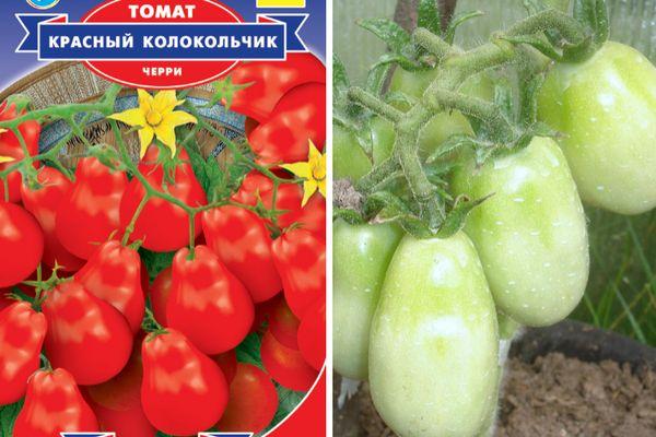 Tomates Kalakolchik