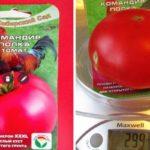 เมล็ดมะเขือเทศ