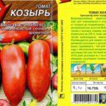 ลักษณะของมะเขือเทศ