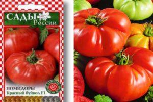 คำอธิบายเกี่ยวกับมะเขือเทศ Red Buffalo F1 และลักษณะการเจริญเติบโตของพันธุ์ลูกผสม