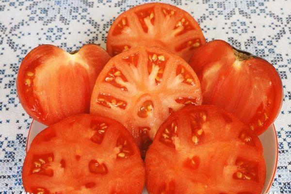 pulpe de tomate