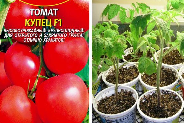 เมล็ดพันธุ์และต้นกล้า