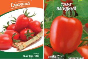 Description de la tomate Lagidny, culture et croissance de la variété