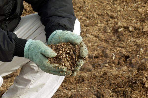 การเตรียมดิน