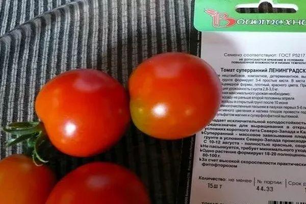 มะเขือเทศสุก